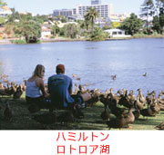 ハミルトン ロトロア湖